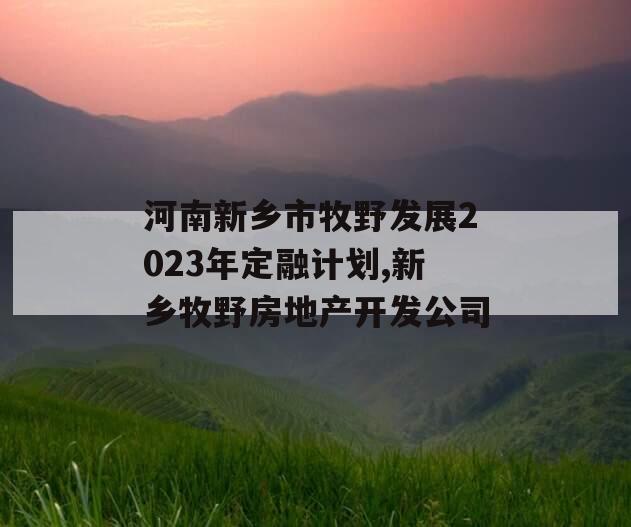 河南新乡市牧野发展2023年定融计划,新乡牧野房地产开发公司