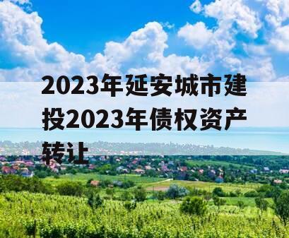 2023年延安城市建投2023年债权资产转让