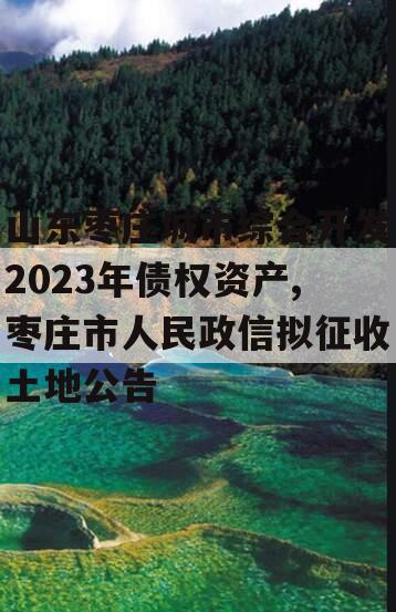 山东枣庄城市综合开发2023年债权资产,枣庄市人民政信拟征收土地公告