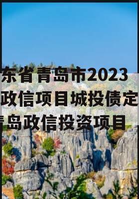 山东省青岛市2023年政信项目城投债定融,青岛政信投资项目