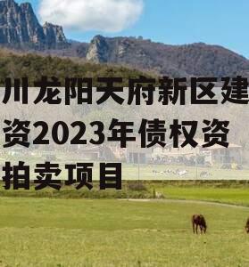 四川龙阳天府新区建设投资2023年债权资产拍卖项目