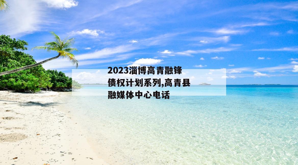 2023淄博高青融锋债权计划系列,高青县融媒体中心电话