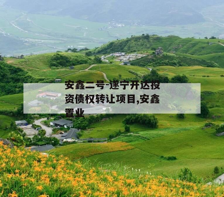 安鑫二号-遂宁开达投资债权转让项目,安鑫置业