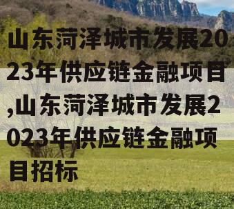 山东菏泽城市发展2023年供应链金融项目,山东菏泽城市发展2023年供应链金融项目招标