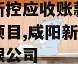 咸阳新控应收账款债权转让项目,咸阳新控置业有限公司