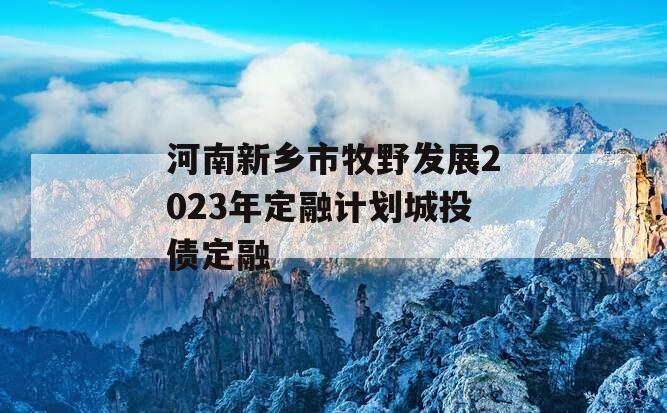 河南新乡市牧野发展2023年定融计划城投债定融