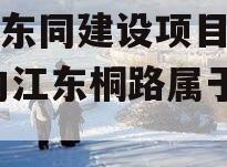 内江东同建设项目半年期,内江东桐路属于哪个区