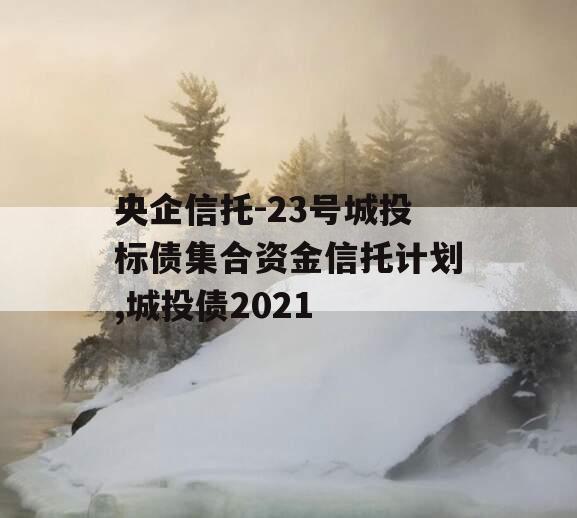 央企信托-23号城投标债集合资金信托计划,城投债2021