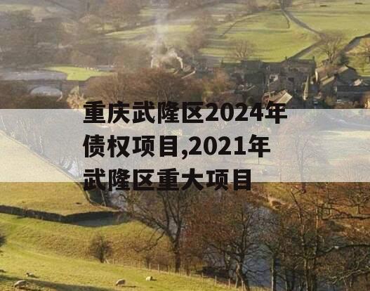 重庆武隆区2024年债权项目,2021年武隆区重大项目