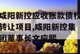 咸阳新控应收账款债权转让项目,咸阳新控集团董事长文应熙