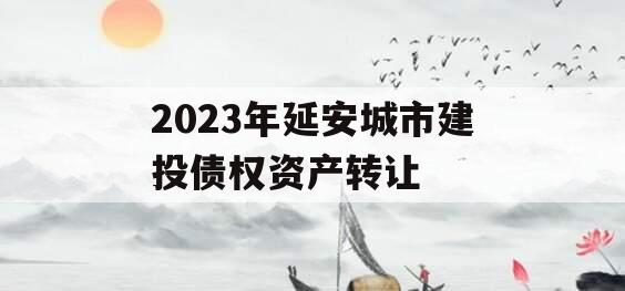 2023年延安城市建投债权资产转让