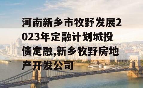 河南新乡市牧野发展2023年定融计划城投债定融,新乡牧野房地产开发公司