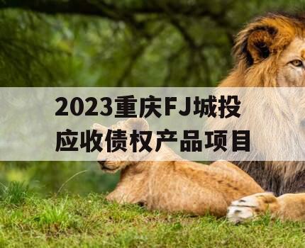 2023重庆FJ城投应收债权产品项目