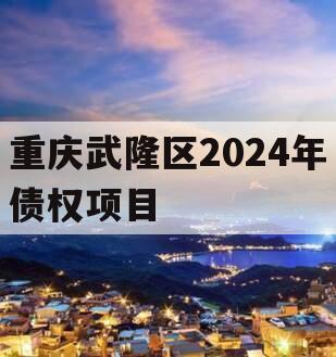 重庆武隆区2024年债权项目