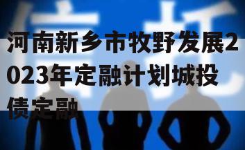 河南新乡市牧野发展2023年定融计划城投债定融