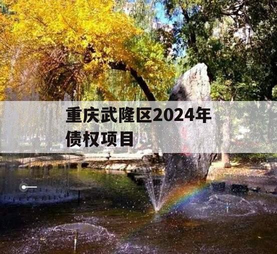 重庆武隆区2024年债权项目