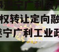 2024遂宁广利资产收益权转让定向融资计划,遂宁广利工业政信融资