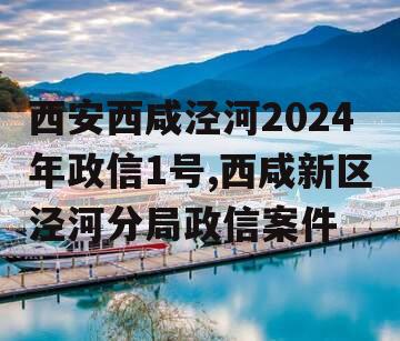 西安西咸泾河2024年政信1号,西咸新区泾河分局政信案件