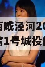 西安西咸泾河2024年政信1号城投债定融