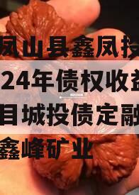 广西凤山县鑫凤投资发展2024年债权收益权项目城投债定融,凤山县鑫峰矿业