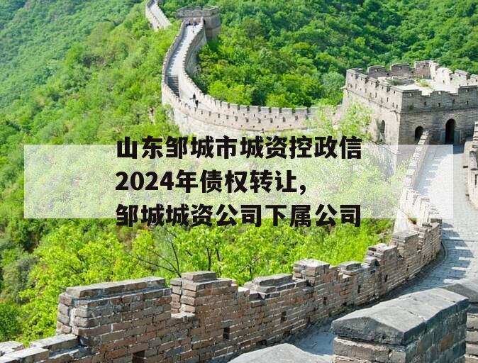 山东邹城市城资控政信2024年债权转让,邹城城资公司下属公司