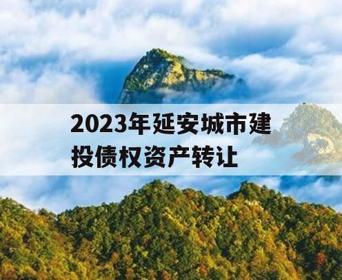 2023年延安城市建投债权资产转让