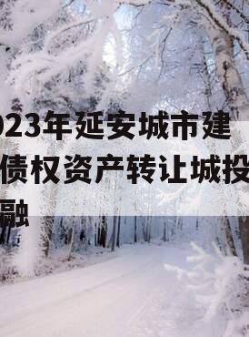 2023年延安城市建投债权资产转让城投债定融