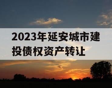 2023年延安城市建投债权资产转让