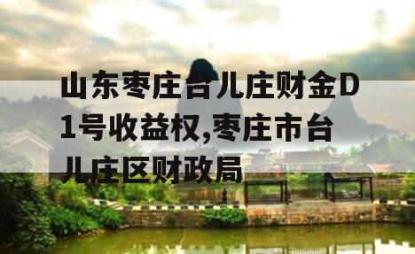 山东枣庄台儿庄财金D1号收益权,枣庄市台儿庄区财政局