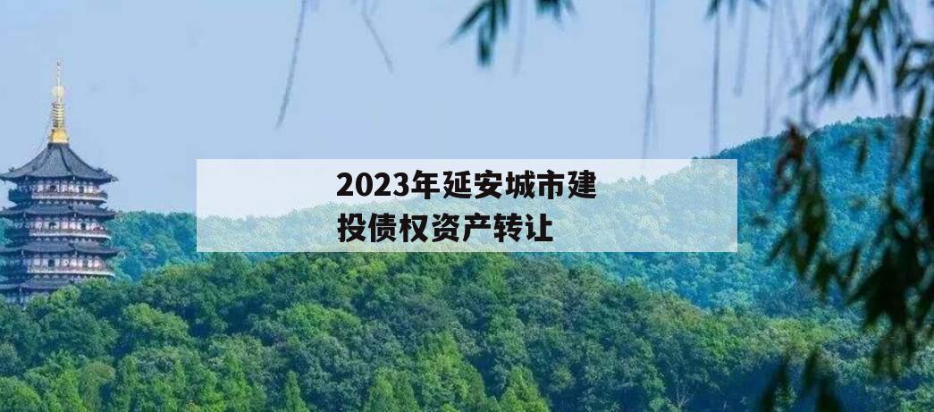 2023年延安城市建投债权资产转让