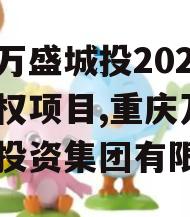 重庆万盛城投2024年债权项目,重庆万盛开发投资集团有限公司