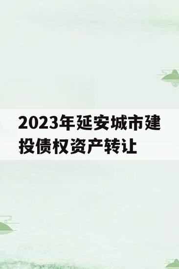 2023年延安城市建投债权资产转让