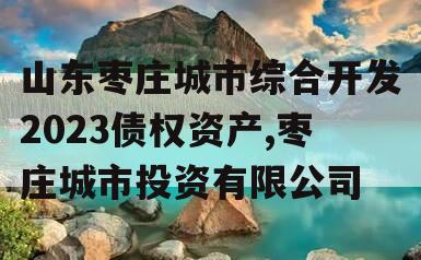 山东枣庄城市综合开发2023债权资产,枣庄城市投资有限公司