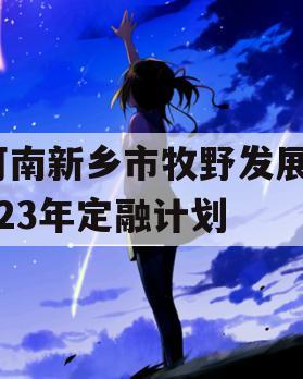 河南新乡市牧野发展2023年定融计划