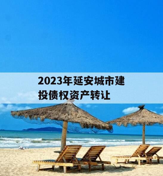 2023年延安城市建投债权资产转让