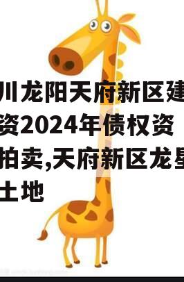 四川龙阳天府新区建设投资2024年债权资产拍卖,天府新区龙星村土地