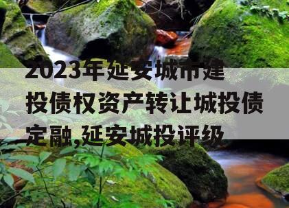 2023年延安城市建投债权资产转让城投债定融,延安城投评级