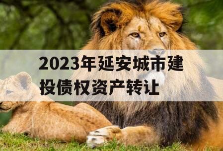 2023年延安城市建投债权资产转让