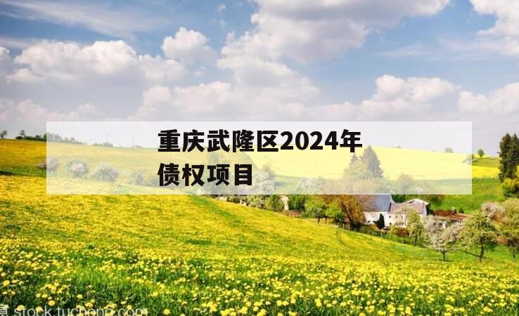 重庆武隆区2024年债权项目