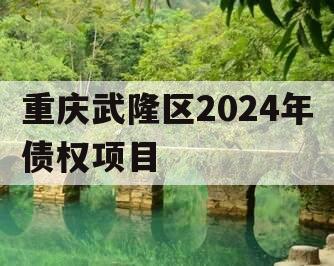 重庆武隆区2024年债权项目