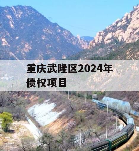 重庆武隆区2024年债权项目