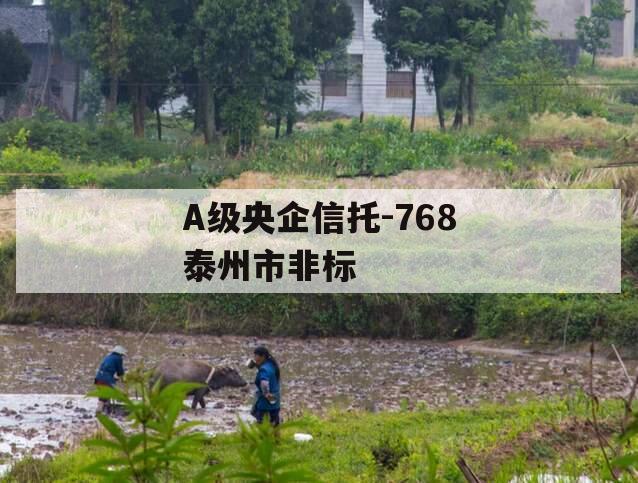 A级央企信托-768泰州市非标