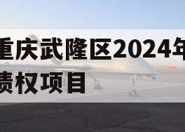 重庆武隆区2024年债权项目