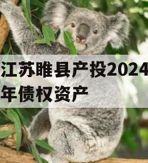 江苏睢县产投2024年债权资产