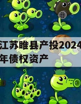 江苏睢县产投2024年债权资产