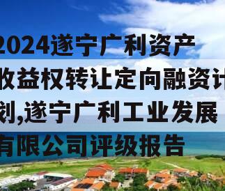 2024遂宁广利资产收益权转让定向融资计划,遂宁广利工业发展有限公司评级报告