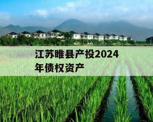 江苏睢县产投2024年债权资产