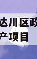 达州市达川区政府投资债权资产项目