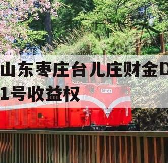 山东枣庄台儿庄财金D1号收益权