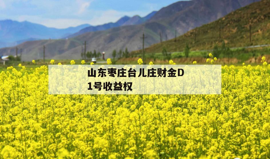 山东枣庄台儿庄财金D1号收益权